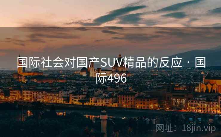国际社会对国产SUV精品的反应 · 国际496
