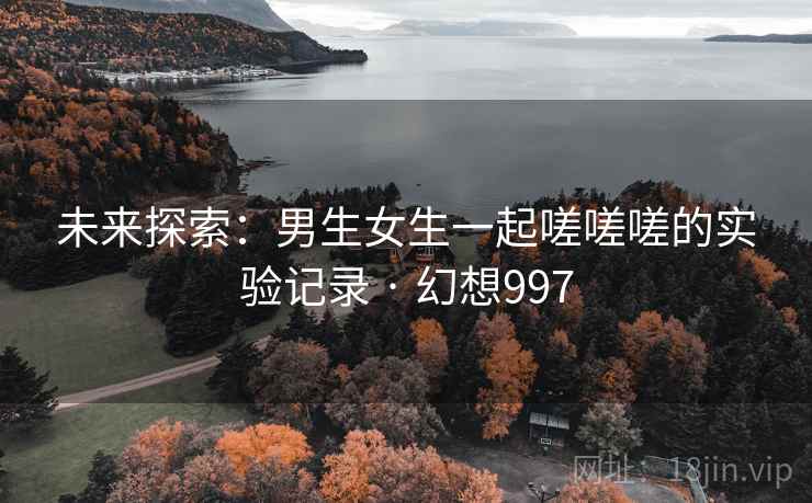 未来探索：男生女生一起嗟嗟嗟的实验记录 · 幻想997