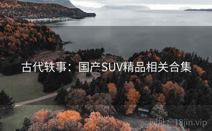 古代轶事：国产SUV精品相关合集  第2张